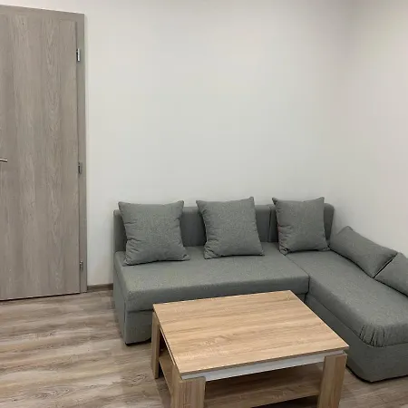 Apartman Ruze Apartment Marenice