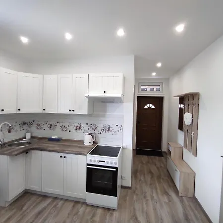 Apartman Ruze Apartment Marenice